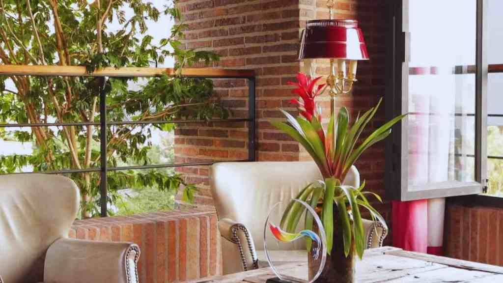 Sala de estar con mesa, sillas y un jarrón de flores en el centro.