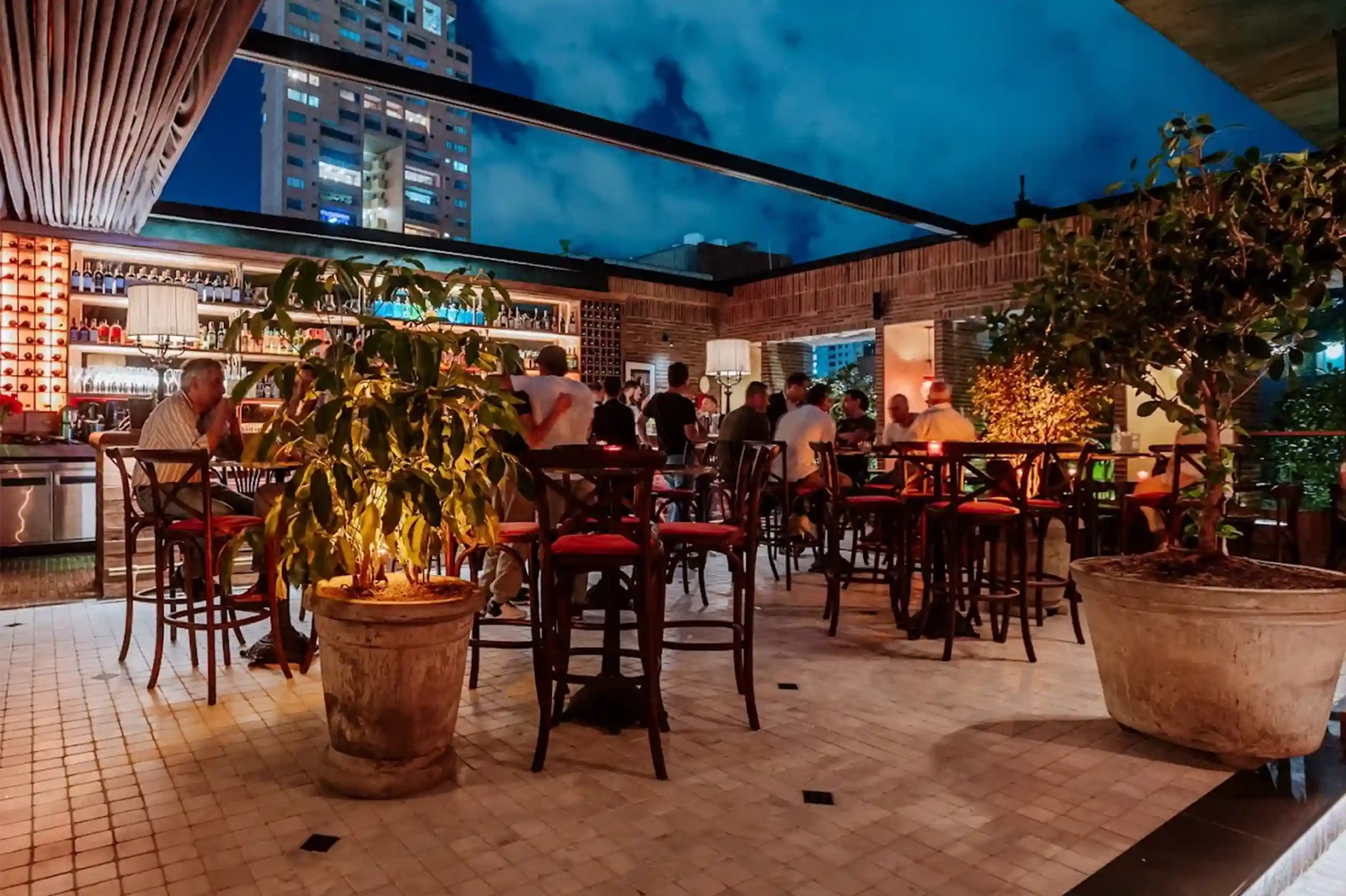 Terraza del bar del Hotel El Zarzo de noche con plantas y vista urbana.
